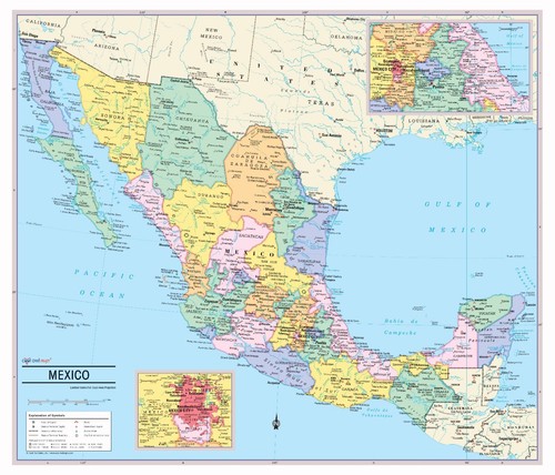 Cool owl maps poster - cool,